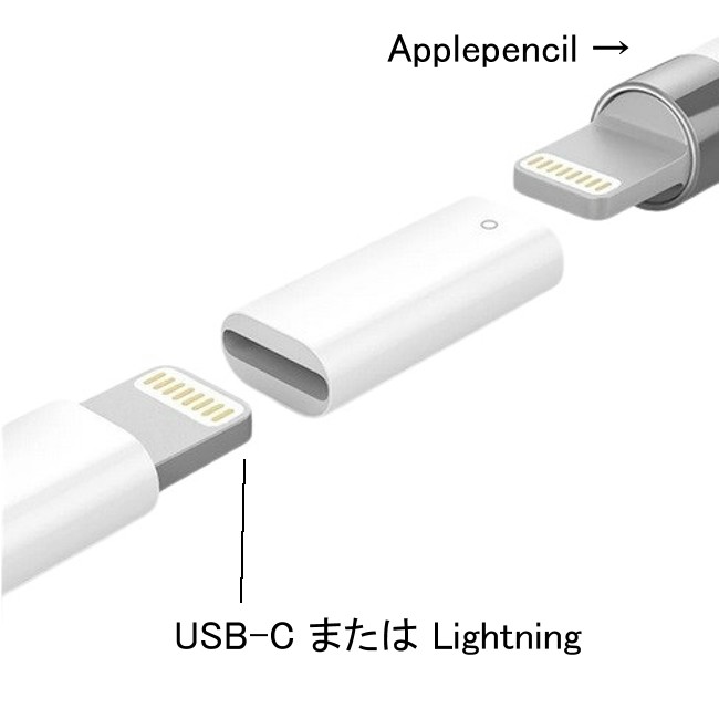 楽天市場】Apple Pencil 充電アダプタ 第一世代用 ライトニング端子