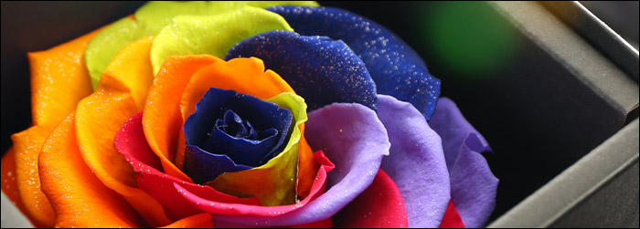 楽天市場】名入れ プレゼント ギフト 名入れミラー＆ダイヤモンド