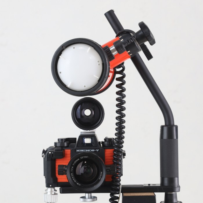 楽天市場】Nox（フィルムカメラ｜カメラ・ビデオカメラ・光学機器