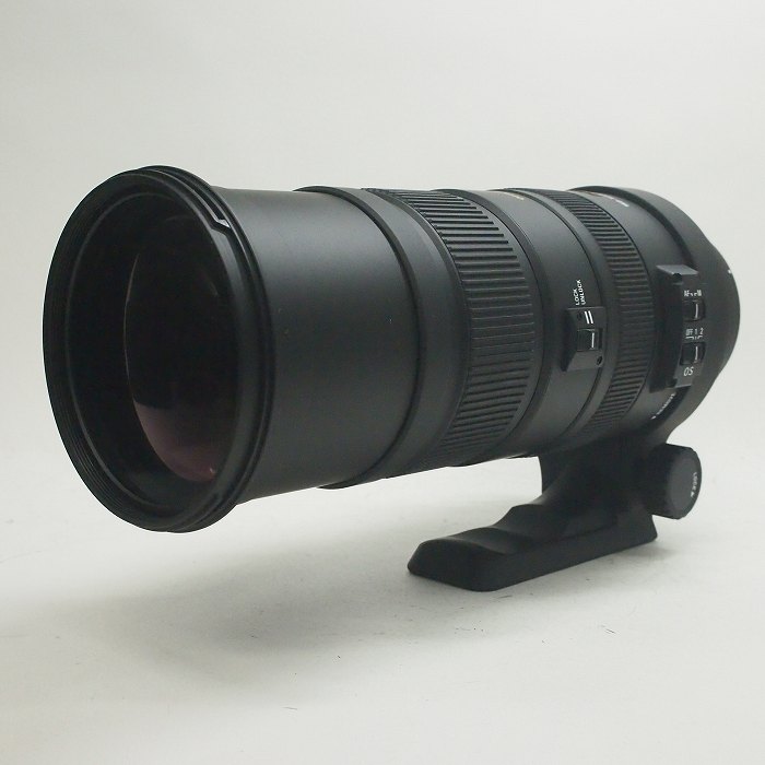 楽天市場】シグマ APO 150－500mm F5－6．3 DG OS HSM キヤノン用の通販