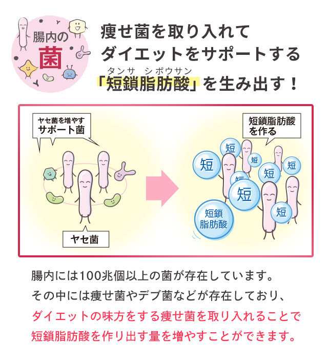 楽天市場】CHO活サプリ 1袋 30粒入り タンサダイエット 短鎖脂肪酸