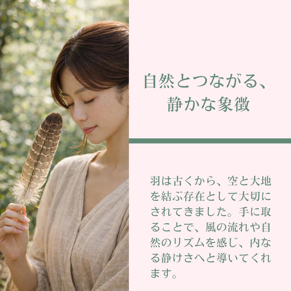 楽天市場】天然七面鳥の羽根 鳥の羽根 スマッジング パロサント