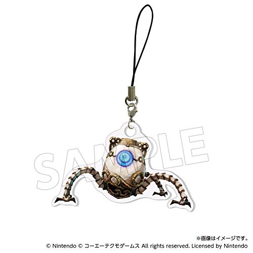 楽天市場】ゼルダ無双 厄災の黙示録 TREASURE BOX : オクタラーズショップ