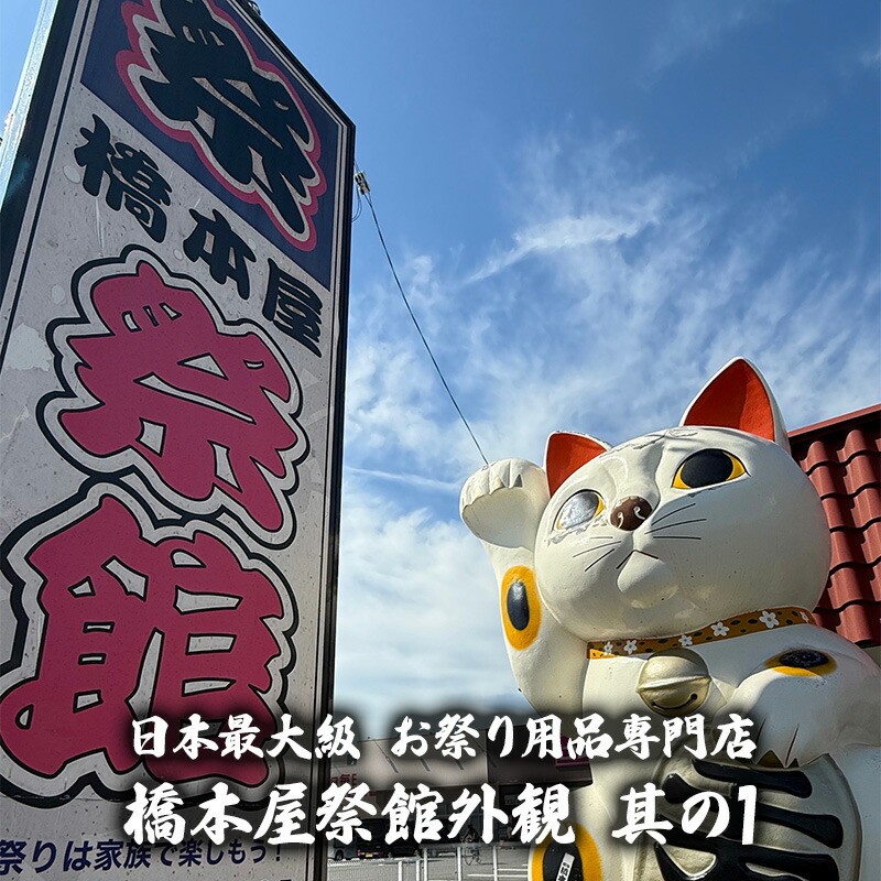 楽天市場】鯉のぼり 単品 鯉幟 【五色吹流 吹流し ふきながし 3m