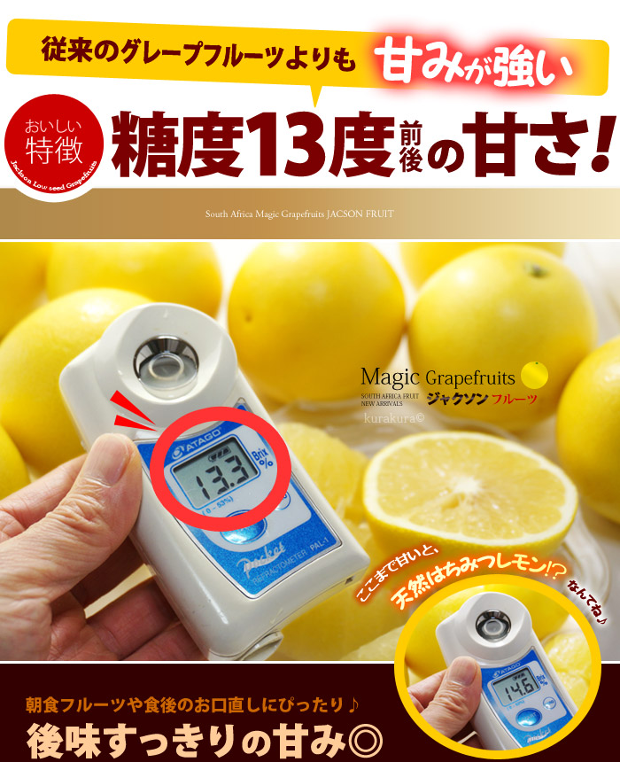 楽天市場】マジックグレープフルーツ ジャクソンフルーツ (18玉前後/約