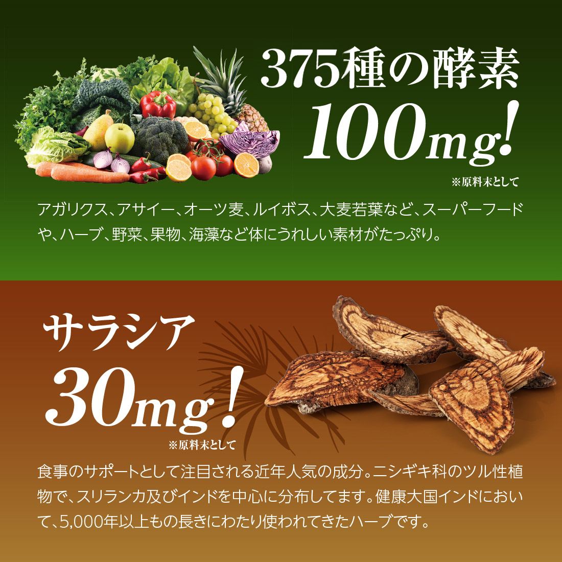 楽天市場】【楽天スーパーSALE 10%OFF】finebase ネイチャーシェイプ