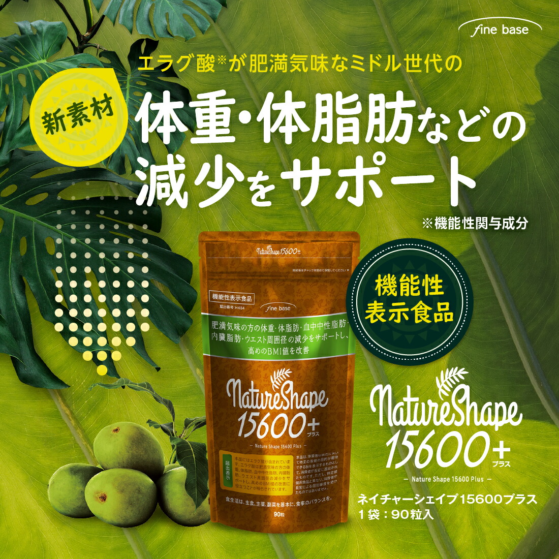 楽天市場】【楽天スーパーSALE 10%OFF】finebase ネイチャーシェイプ