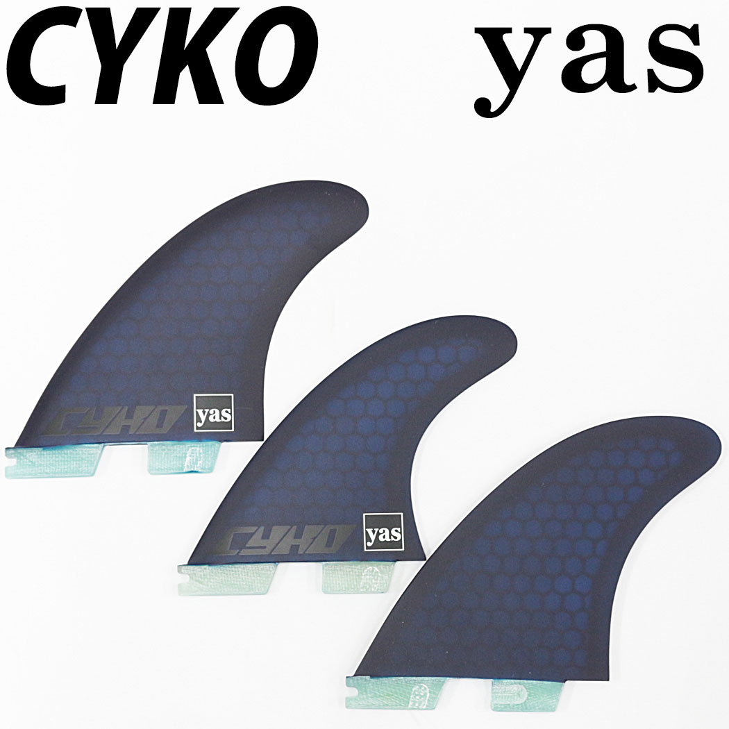 cykoyastri02.jpg