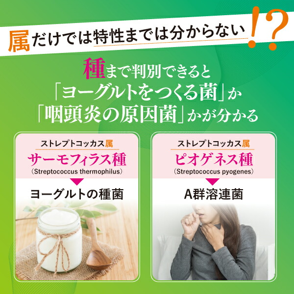 楽天市場】【半額】腸内フローラ検査 エクオール検査キット chatFLORA