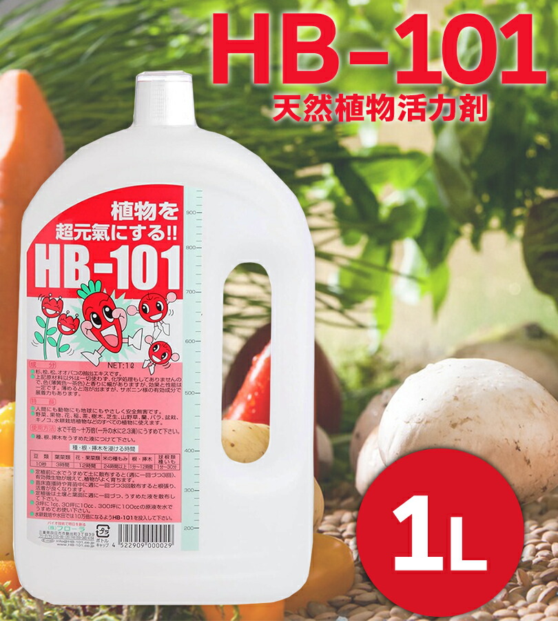 楽天市場】【スーパーSALEで使える!500円OFFクーポン配布中!】送料無料