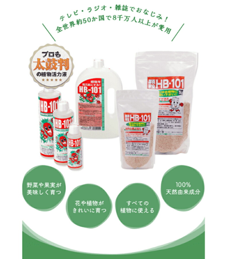 楽天市場】【スーパーSALEで使える!500円OFFクーポン配布中!】送料無料