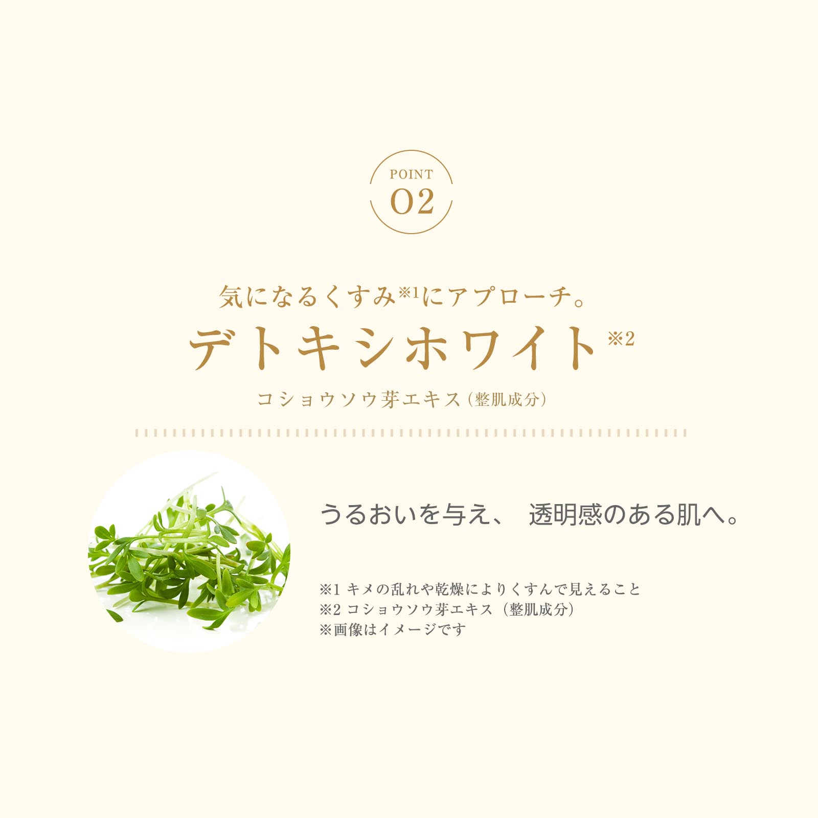 楽天市場】Cリッチクリーム【シーズ・ラボ公式】化粧水 クリーム 乳液