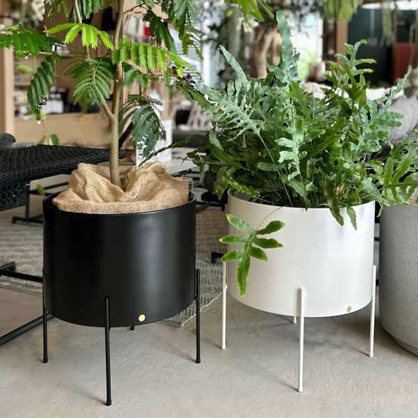 楽天市場】Hubsch(ヒュプシュ) エアリープランターラージ Φ42 ホワイト