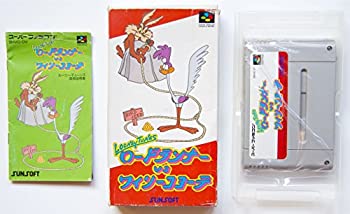 楽天市場】LOONEY TUNES ロードランナーVSワイリーコヨーテ（テレビ