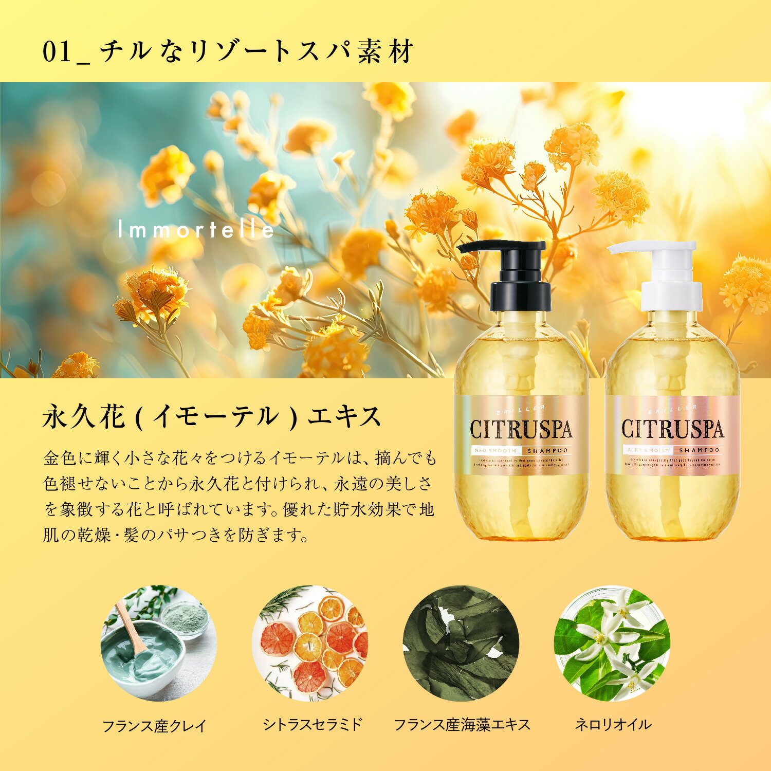 楽天市場】【公式限定2点セット/送料無料】シトラスパ N (シャンプー