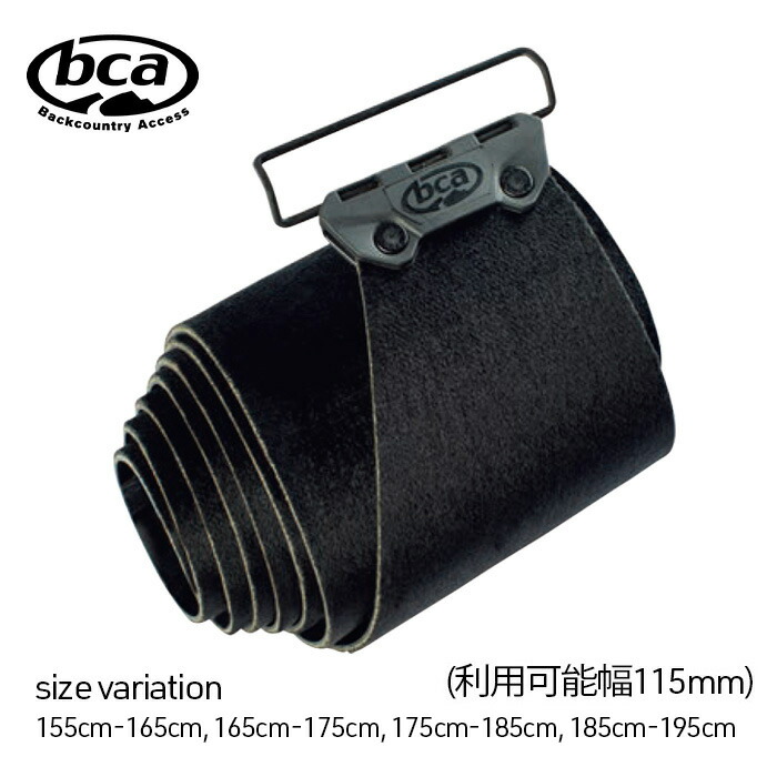 楽天市場】コンツアー シールの通販