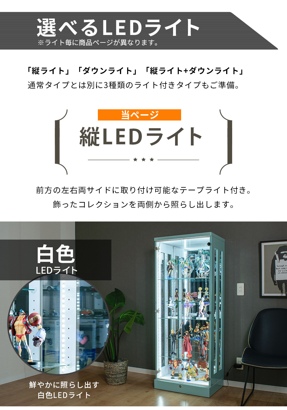 楽天市場】[1000円OFFクーポン配布中！〜3/11 1:59まで] コレクション
