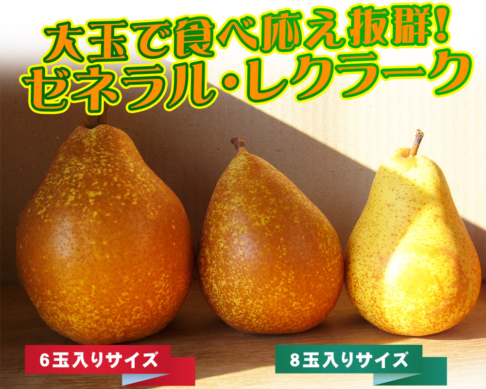 楽天市場】エントリーでポイント5倍 洋梨 送料無料 【青森県産洋梨