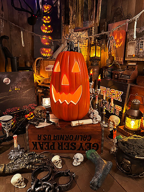 楽天市場】【即納】【在庫あり】パンプキンランタン ロング 56cm （L