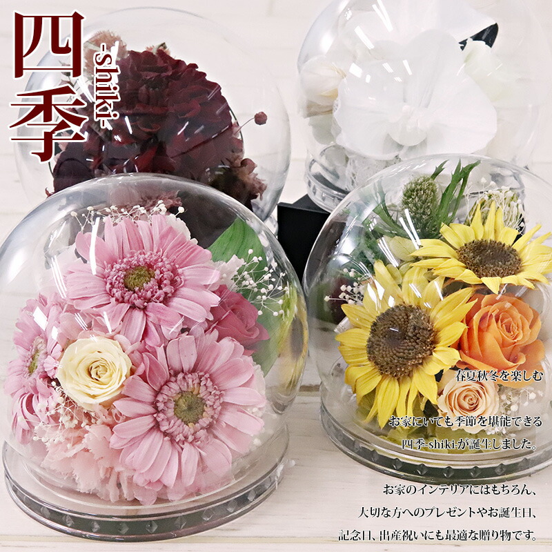 楽天市場】【P3倍】花 プリザーブドフラワー 和風 ガラスドーム ケース