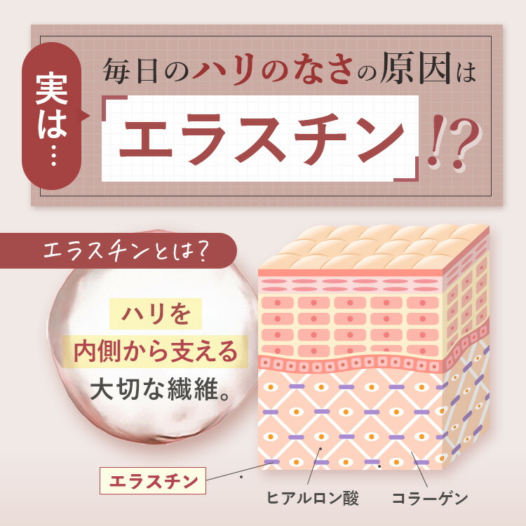 楽天市場】【楽天スーパーSALE 30%OFF 送料無料】【公式】 cellnote