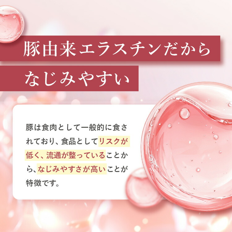 楽天市場】【楽天スーパーSALE 30%OFF 送料無料】【公式】 cellnote