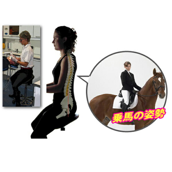 楽天市場】【☆エントリーでポイント5倍 3/11 1:59迄】Salliチェアー