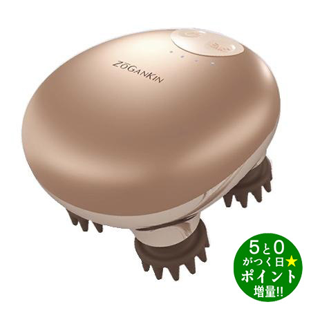 楽天市場】ゾーガンキンマチュアの通販