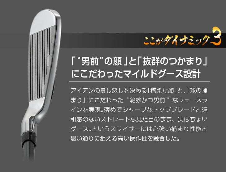 楽天市場】ゴルフ クラブ セット アイアンセット ダイナミクス