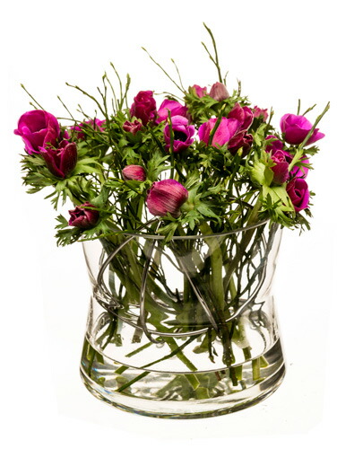 楽天市場】【40%OFF!スーパーSALE限定価格】【公式】 北欧 Born in