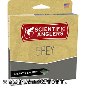 楽天市場】アトランティックサーモン ショート shの通販