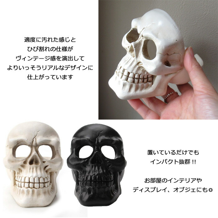 楽天市場】ドクロ スカル 灰皿 喫煙具 アシュトレイ タバコ 卓上