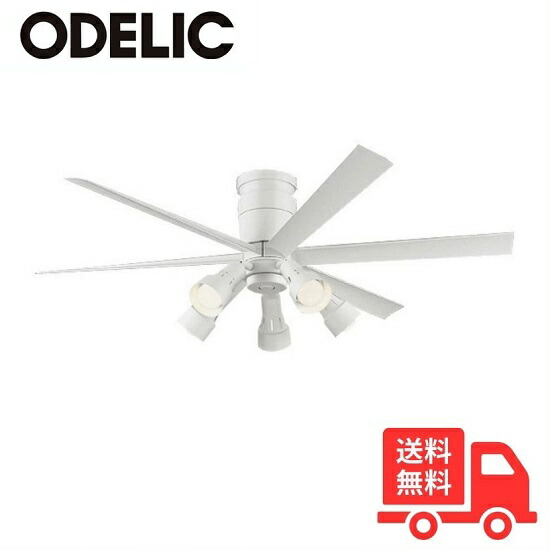 wf237」の人気商品一覧 | 安い商品を通販サイトから探す - 価格.com