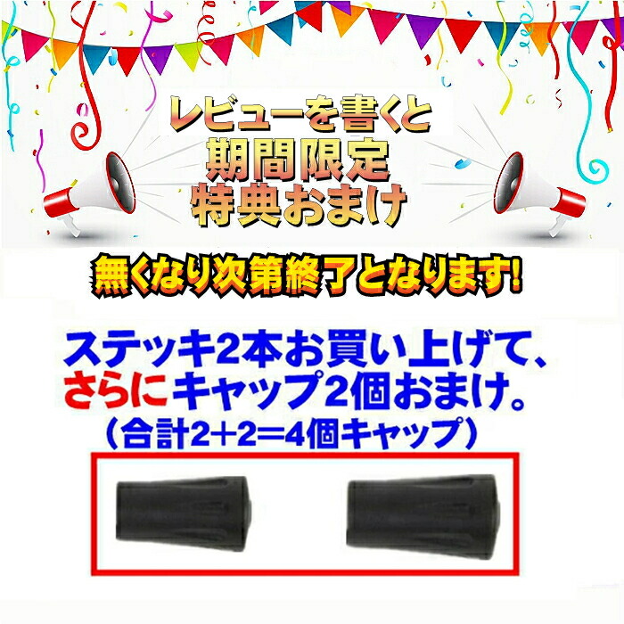 楽天市場】登山 ステッキ つえ トレッキングポール カーボン ストック