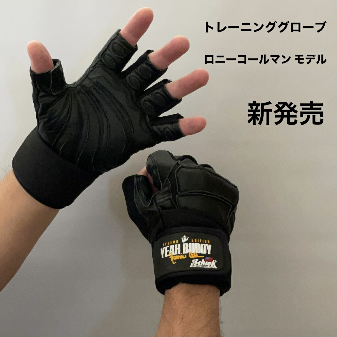 楽天市場】新発売 Schiek シーク トレーニンググローブ ロニー