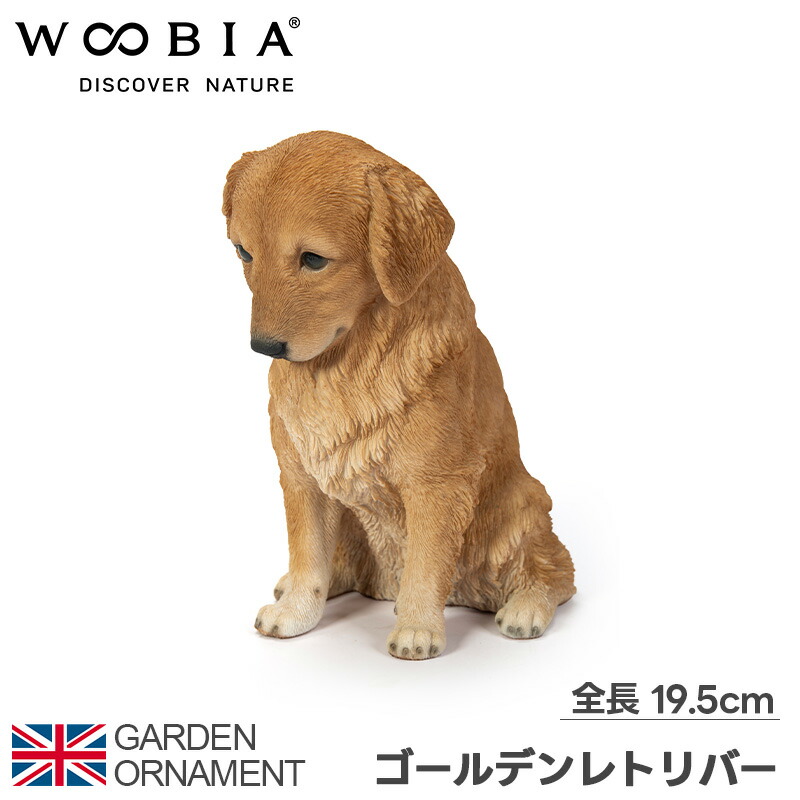 楽天市場】ゴールデンレトリバー 犬 ワンちゃん オブジェ オーナメント