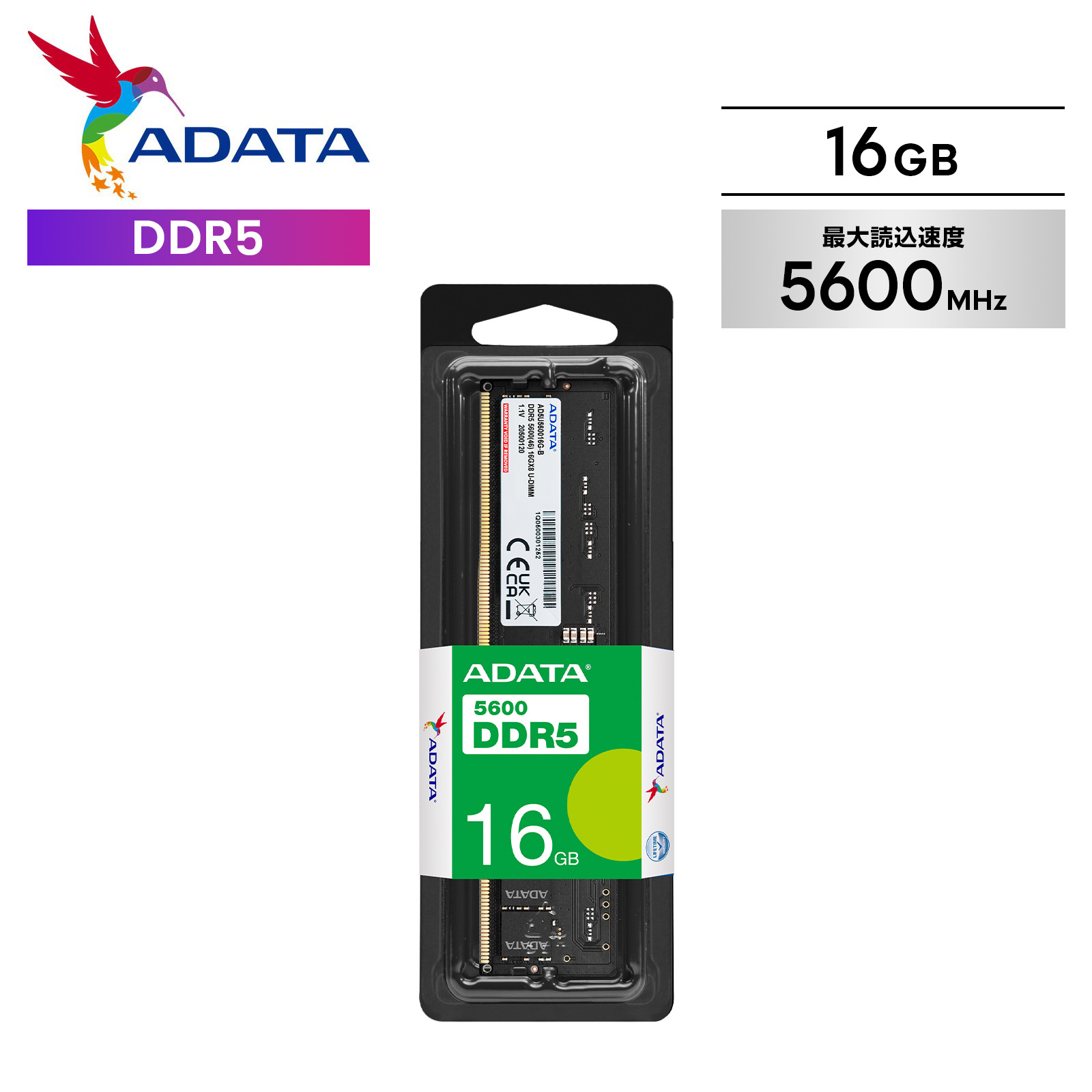楽天市場】Crucial DDR4デスクトップメモリ Crucial 16GB【永久保証