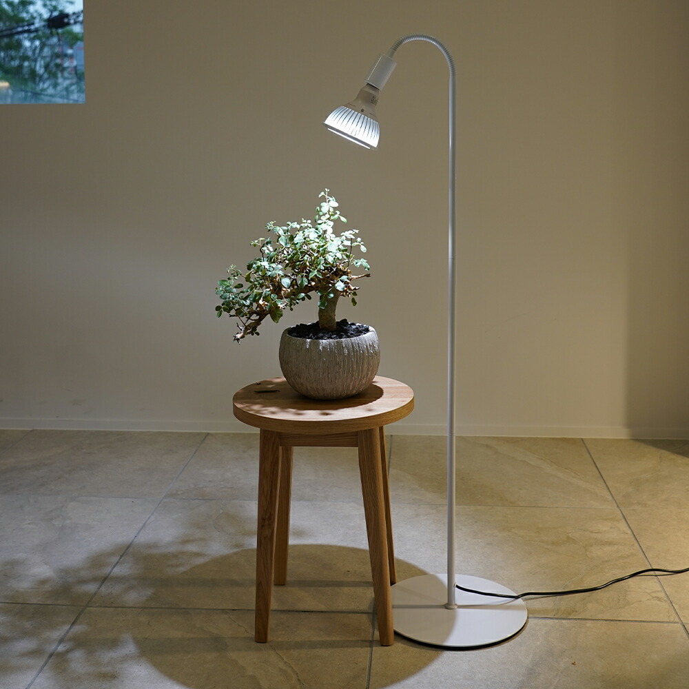 楽天市場】BARREL公式 フレキシブルアームライトスタンド E26 ホワイト