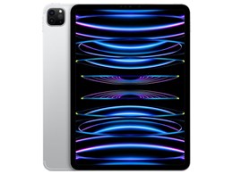 楽天市場】ipad 本体 新品（機能（SIMカード）SIMフリー