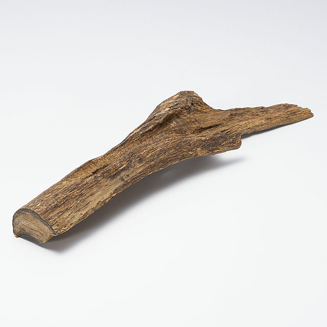 楽天市場】プレミアム沈香(じんこう) 原木姿物 六国「寸門多羅(すも