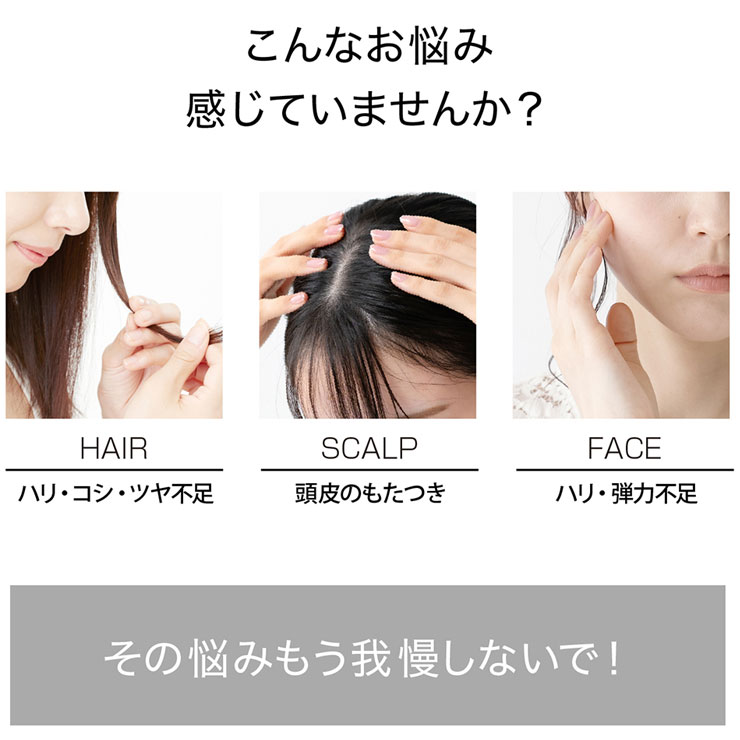 楽天市場】【クーポンで2,000円OFF＆フェイスパック2枚付 3/4 20:00～3