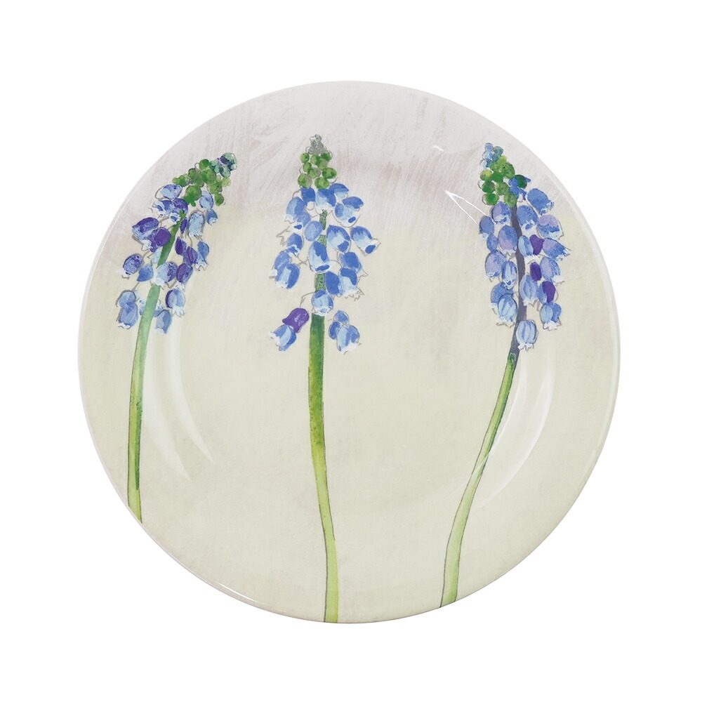 アリス ジアン 皿」の人気商品一覧 | 安い商品を通販サイトから探す