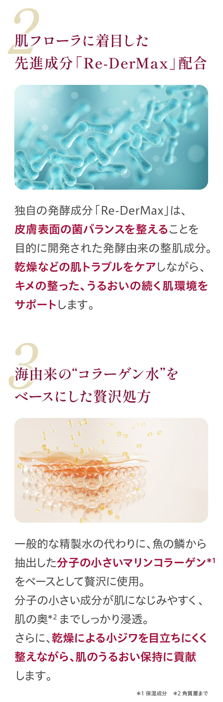 楽天市場】ディプルセル DPL D.PL Cell UV栄養クリーム 50ml UV