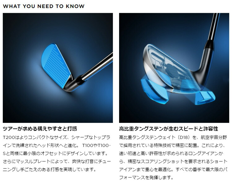 楽天市場】Titleist タイトリスト日本正規品 T200アイアン NSPRO880AMC