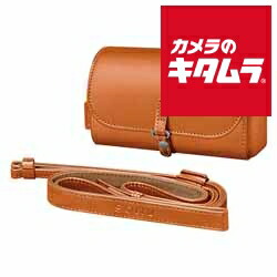 楽天市場】ビデオカメラ ケース ソニーの通販