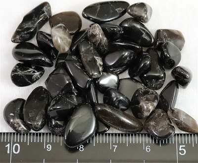 楽天市場】チベット産天然モリオン水晶 黒水晶 さざれ (穴なしチップ