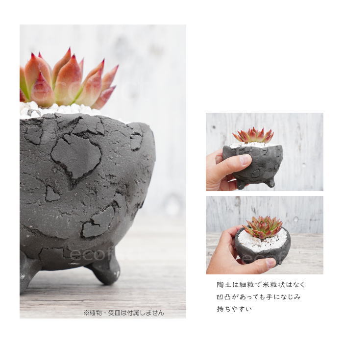 楽天市場】陶器鉢 植木鉢 ミニポット 底穴あり BUNGA POT エッグ（S