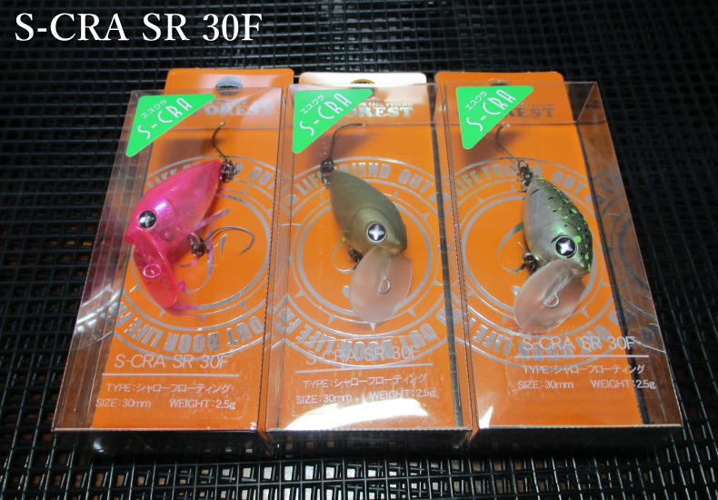 楽天市場】エスクラSR 30F ～全10色 ＜フォレスト FOREST＞ □エリア