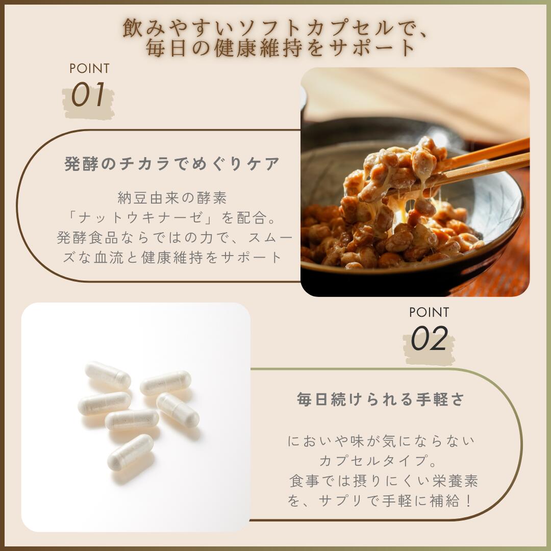 楽天市場】野口医学研究所 納豆キナーゼ EX プレミアム