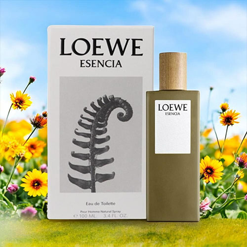楽天市場】ロエベ LOEWE エセンシア オードトワレ EDT 100ml ESENCIA
